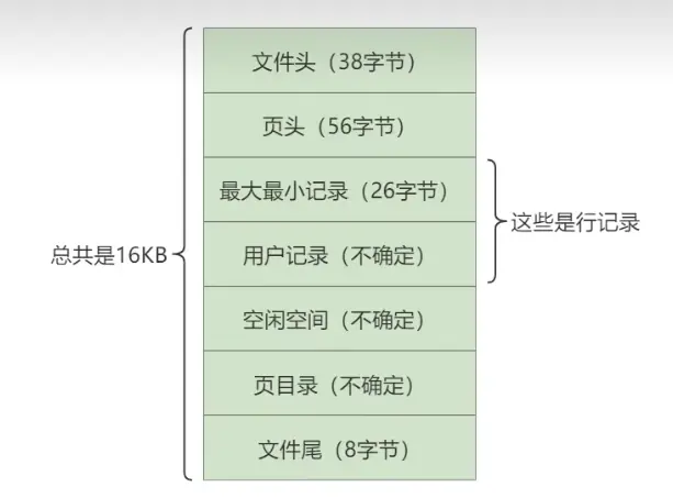 数据页内部结构.webp