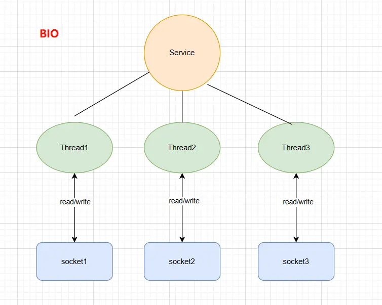 BIO.webp