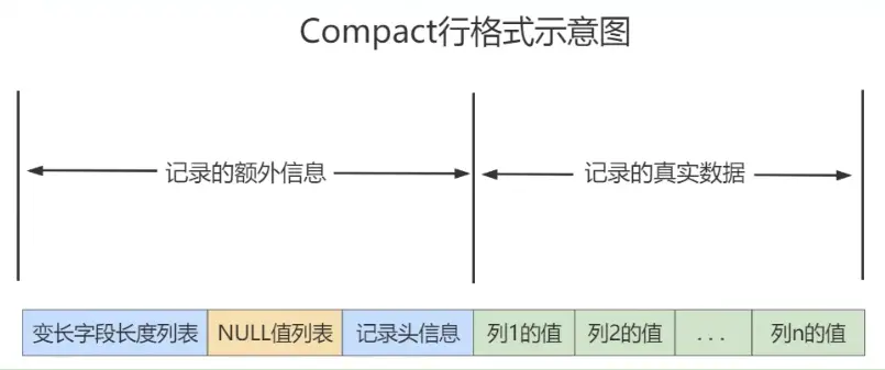 compact行格式.webp